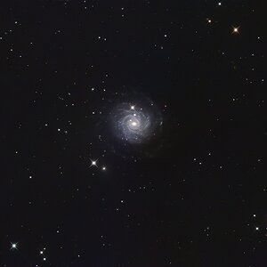 NGC 3344