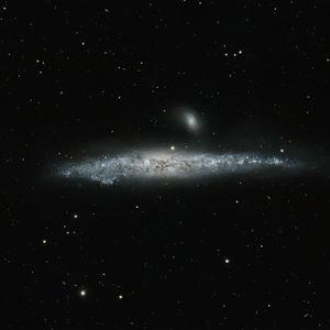 Whale Galaxy