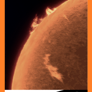 110525_Protub.png