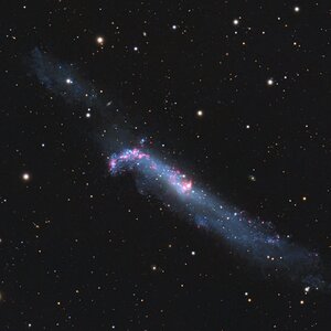 NGC 4656 – Die Brecheisengalaxie