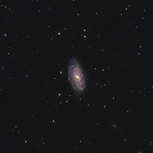 NGC 3953 mit dem NCT300