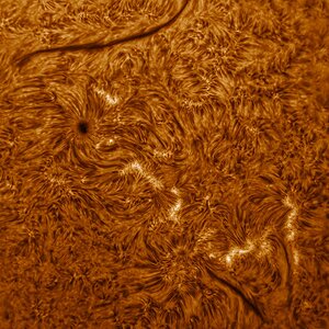 Solar surface detail