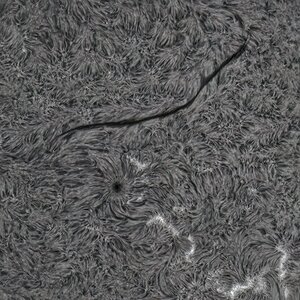 Solar surface detail