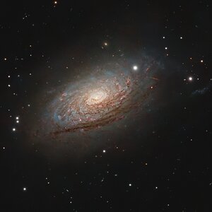 M63 - Sonnenblumen Galaxie