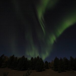 IMG_1799