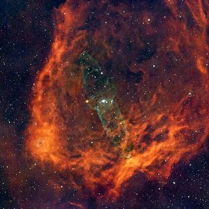 SH2-129 Fledermausnebel