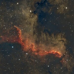 NGC 7000 Nordamerikanebel