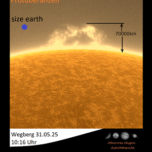 310525_protub_bema2.png