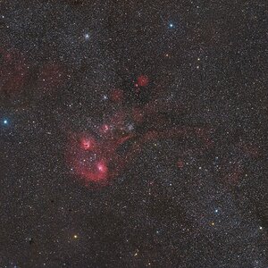 Auriga