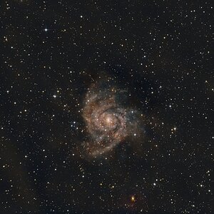 IC 342