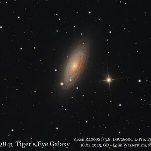 NGC2841 Tigerauge