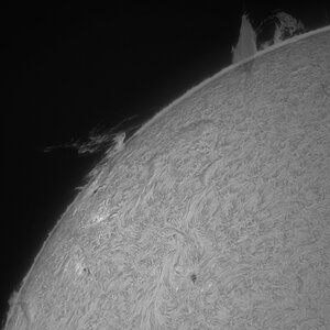 Sonne H-Alpha Westrand am 11.Juni 18:59 MESZ