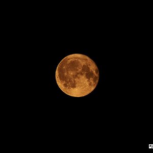 IMG_5865_3 Mond 12062025 0102 UTC.jpg