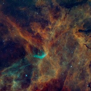 NGC_6883_stretched_GraXpertNEU.jpg