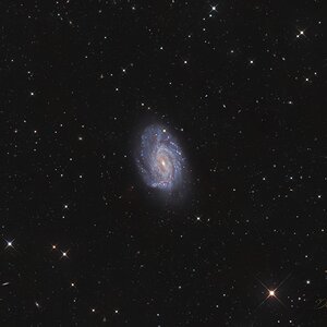NGC 3726 im Großen Bären mit dem NCT300