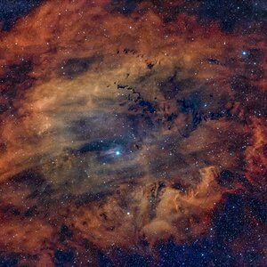 SH2_119
