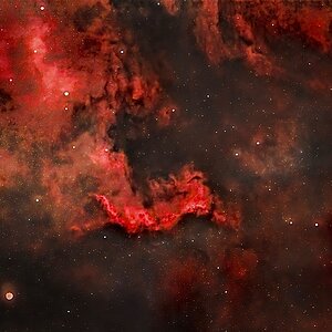 NGC7000