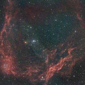 The Flying Bat & Squid Nebulae