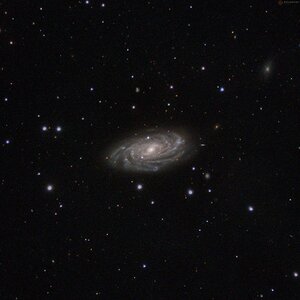 NGC 3953
