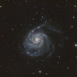 M-101