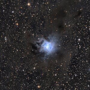 Irisnebel - NGC 7023