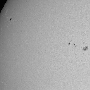 Fleckengruppen auf der Ostseite der Sonne.