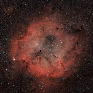 IC1396_08.jpg / Gasnebel im Kepheus