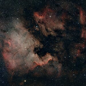 NGC7000