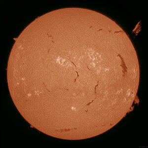 Sonne H-Alpha 29.06.2025