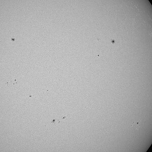 Sonnenflecken