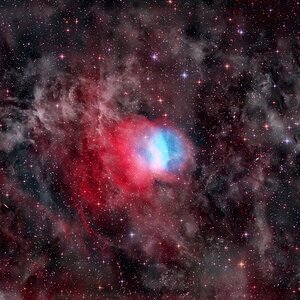 SH2-174 (Valentine Rose)