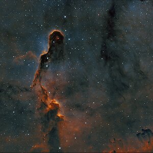 Elefantenrüssel aus IC1396_klein
