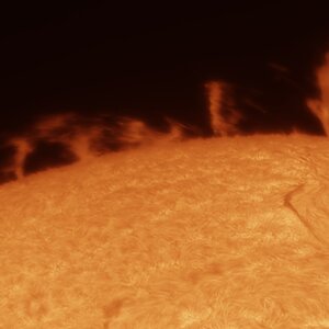 Sonne 29.06.2025
