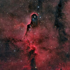 IC1396_elefhants_trunk_small.jpg