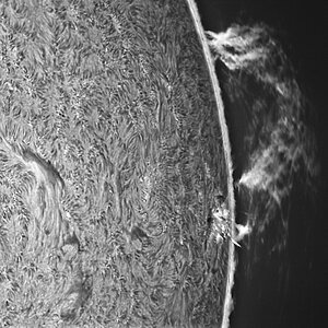 Große Protuberanz am Westrand der Sonne, 2025-07-02, 17h42 MESZ