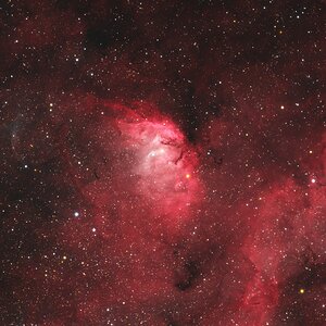 Tulpennebel mit der Cygnus X-1 Schockwelle