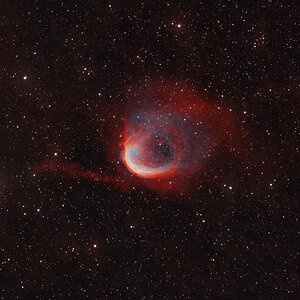 Der kosmische Schrimp