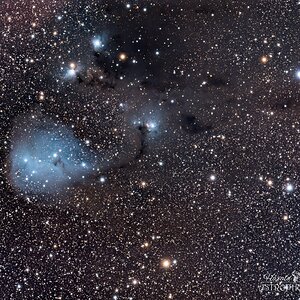 IC447-IC2169  (Dreyers Nebel)