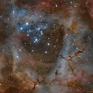 NGC2244 offener Sternhaufen im Rosettennebel