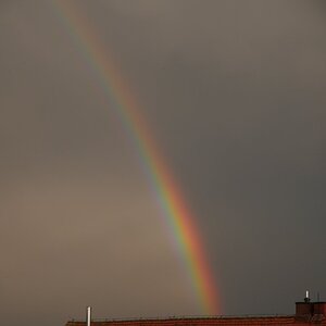 Regenbogen.