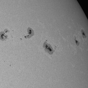 Fleckengruppen am Westrand der Sonne