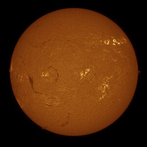 AcuterSonne