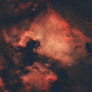 NGC 7000 Nordamerikanebel, Pelikan-Nebel