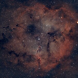 Sh2-131 (IC 1396 ) mit IC 1396A (Elefantenrüsselnebel)