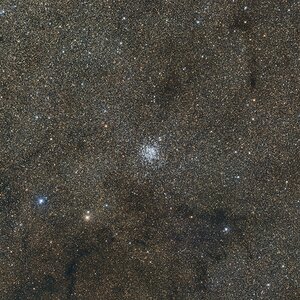M11_19072025_RGB_2.5h.JPG