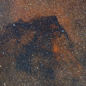 Barnard 312 der Gorillanebel