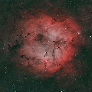 IC 1396