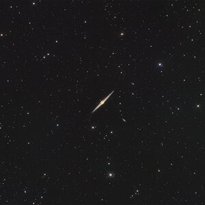 NGC 4565 - immer wieder vorbeigeschaut