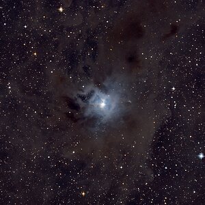 Irisnebel - NGC 7023