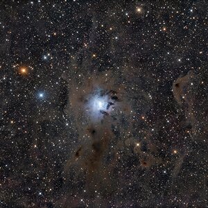 Iris Nebel NGC7023